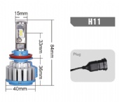 H11-BKT3