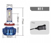 H11-BKT6